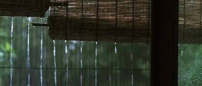 随时随地畅享纬来体育直播高清无延迟观赛体验