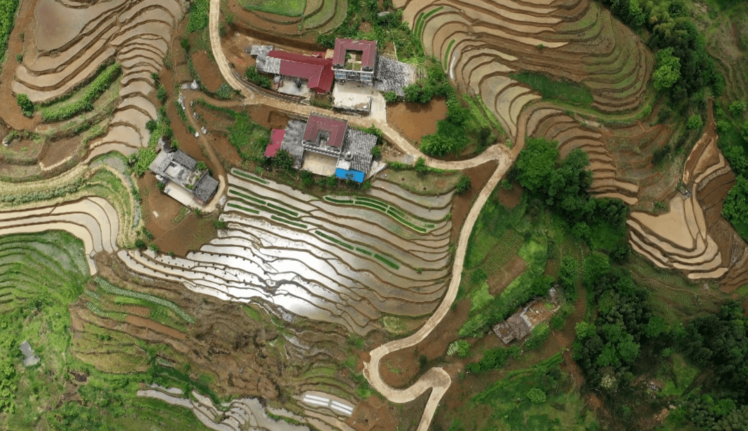 盐津庙坝石笋村: 春耕正当时 梯田美如画_村民_盐津县_气候