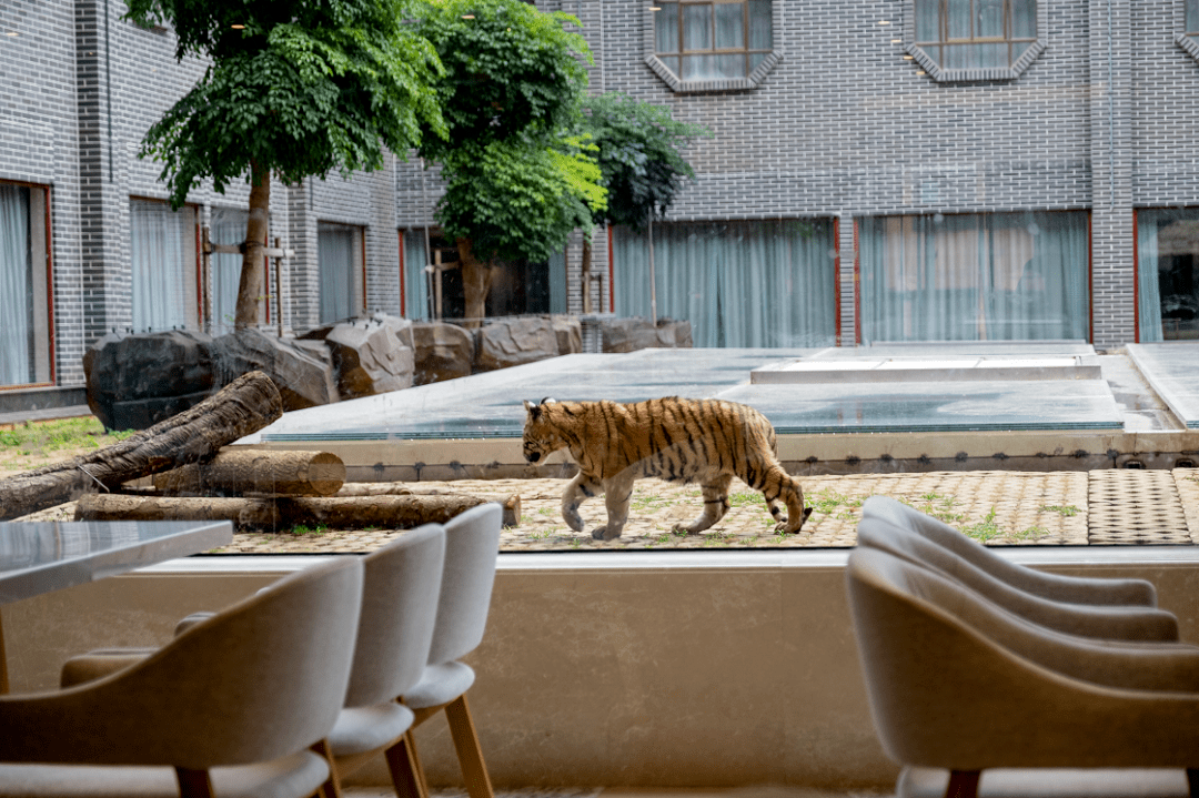 桂林参考酒店:鑫海/古镇江璟或同级