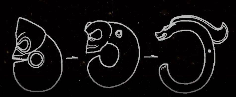 无独有偶,在这个遗址中还发现了浮雕龙纹陶片和明显的猪形图案图腾