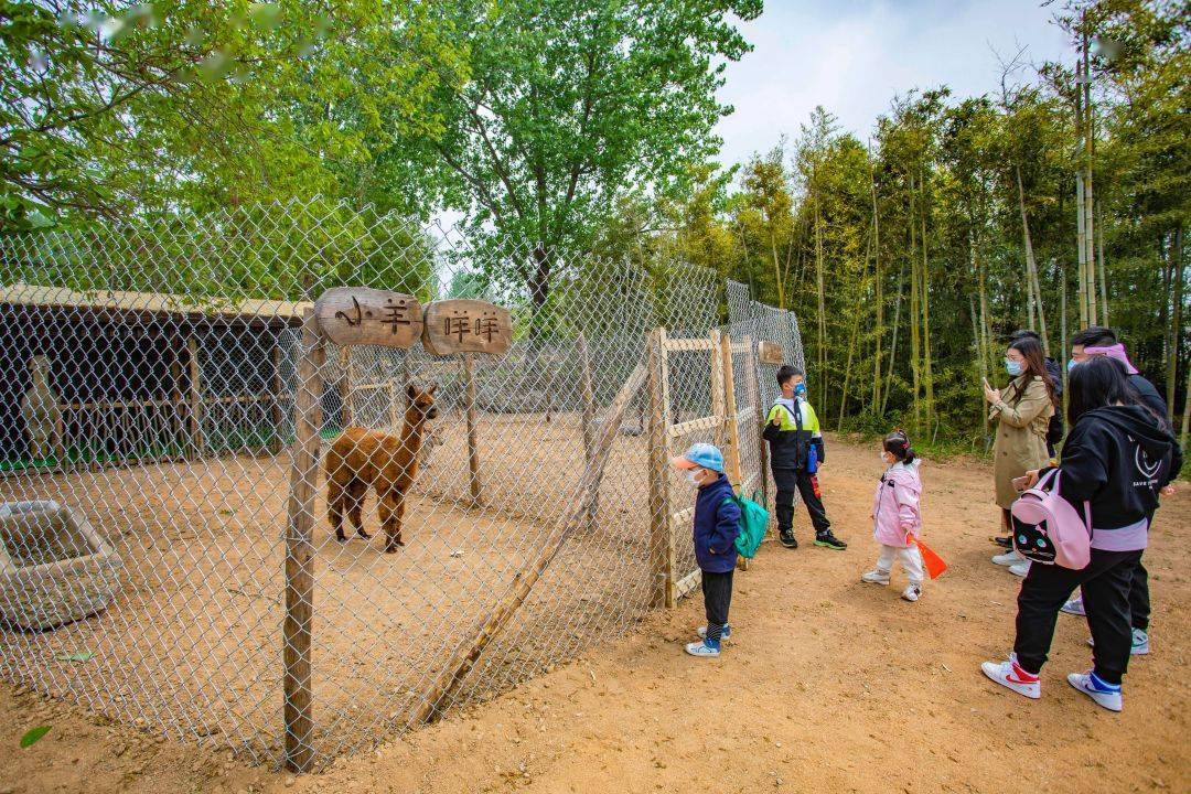 最美好的景色分享给最亲近的人景区内还设有萌宠乐园孩子们可以与动物