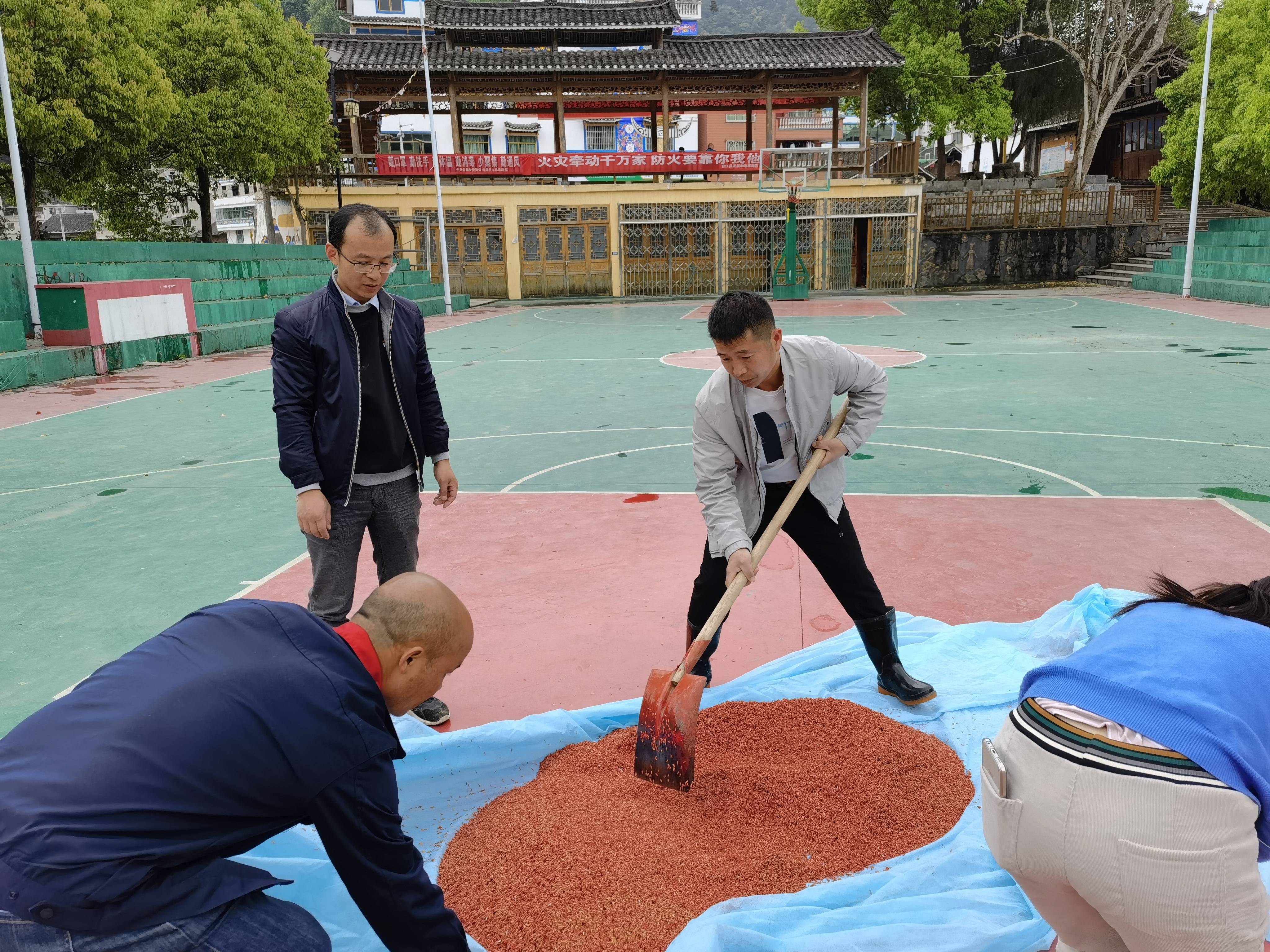 弘扬台江精神凝聚奋进力量记台江县台盘乡阳芳村党支部书记杨金华