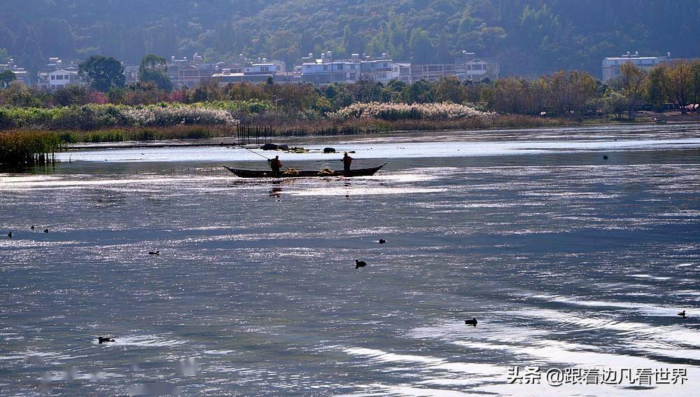 澄江仙湖湾湿地公园图片