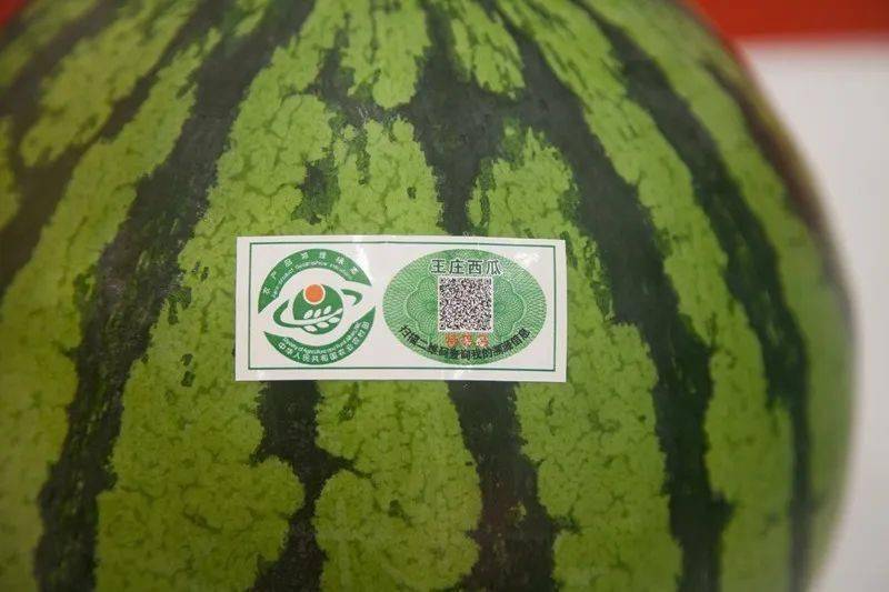 王庄西瓜顶呱呱欢迎品尝