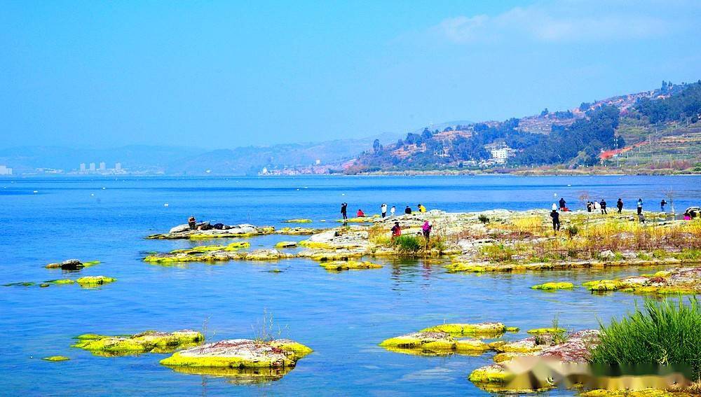 澄江仙湖湾湿地公园图片