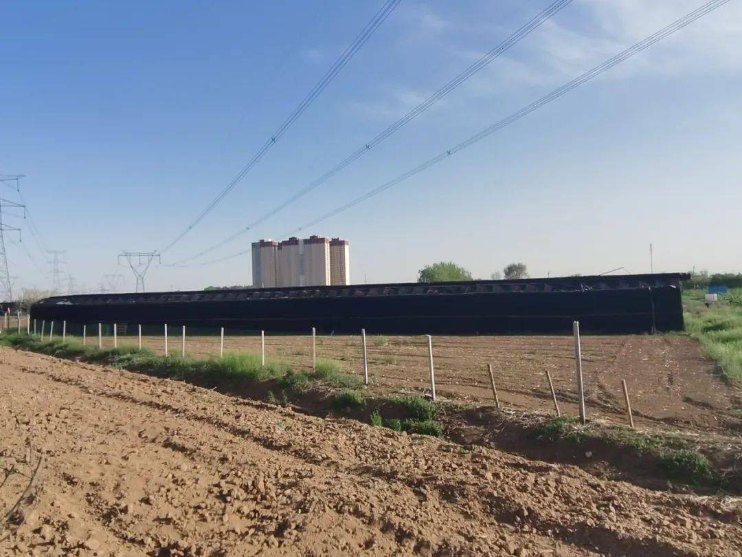 文明健康绿色环保西青区辛口镇人居环境整治不停歇乡村颜值再提升