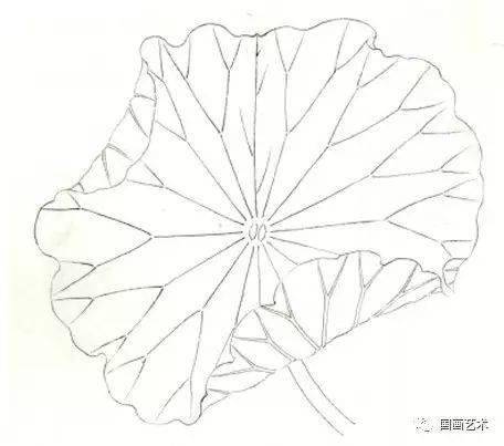 图文教程工笔荷叶的各种画法