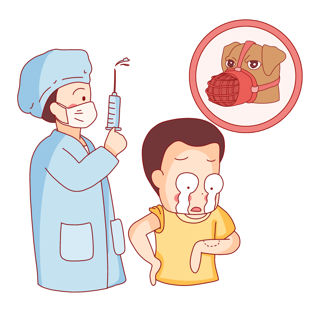 夏季为犬伤高发季被咬伤应该这么办