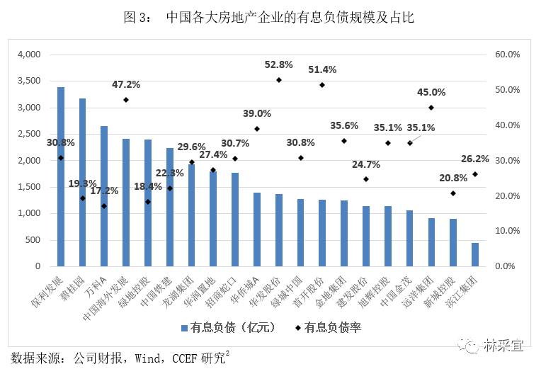 林採宜:中國房地產企業的債務地圖_資產負債率_償債_綠地