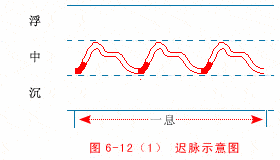 脉象_部位_实证
