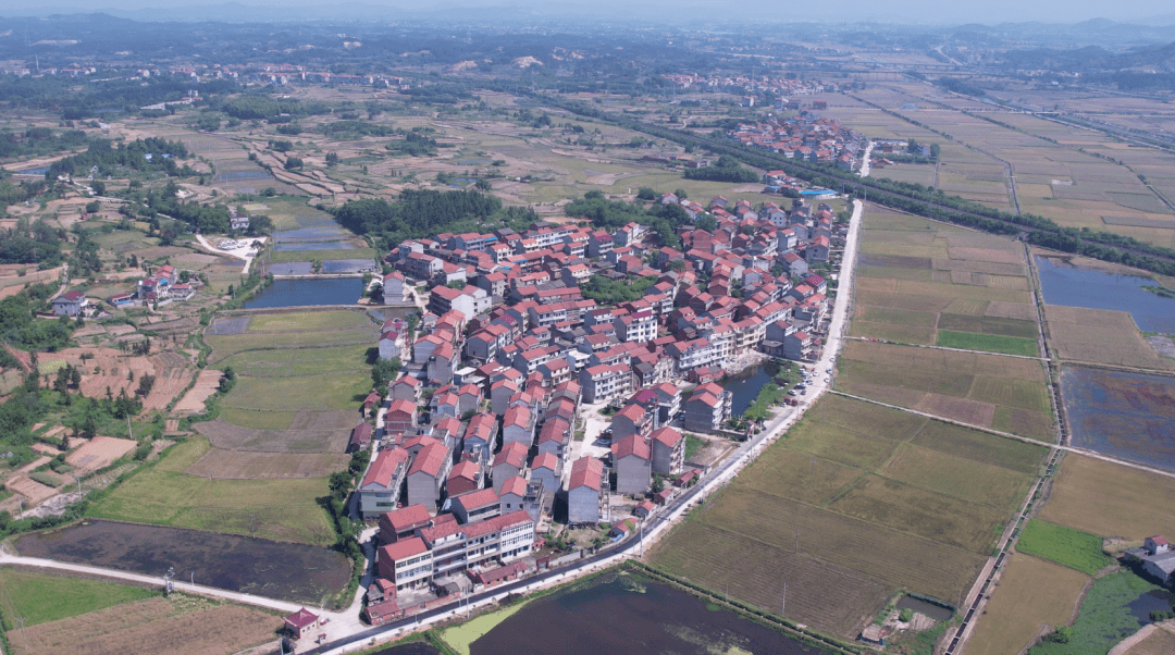 四望镇:推进"四小园" 实现"大变身"_建设_陆政_乡村