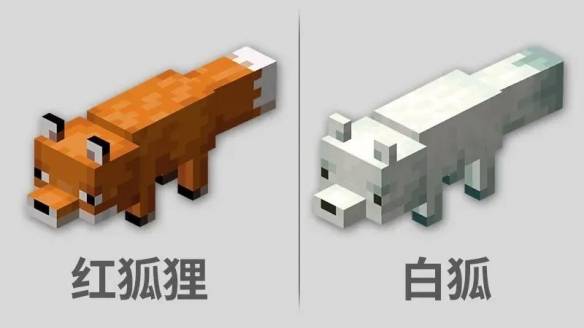 《我的世界》如何驯服狐狸?有浆果就能搞定一切!_生物_玩家_白狐
