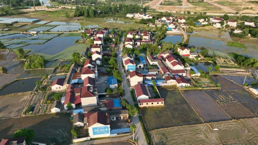 【走进乡村看振兴】衡山镇永康桥村:家家豆腐香 振兴有希望_村民_张丽