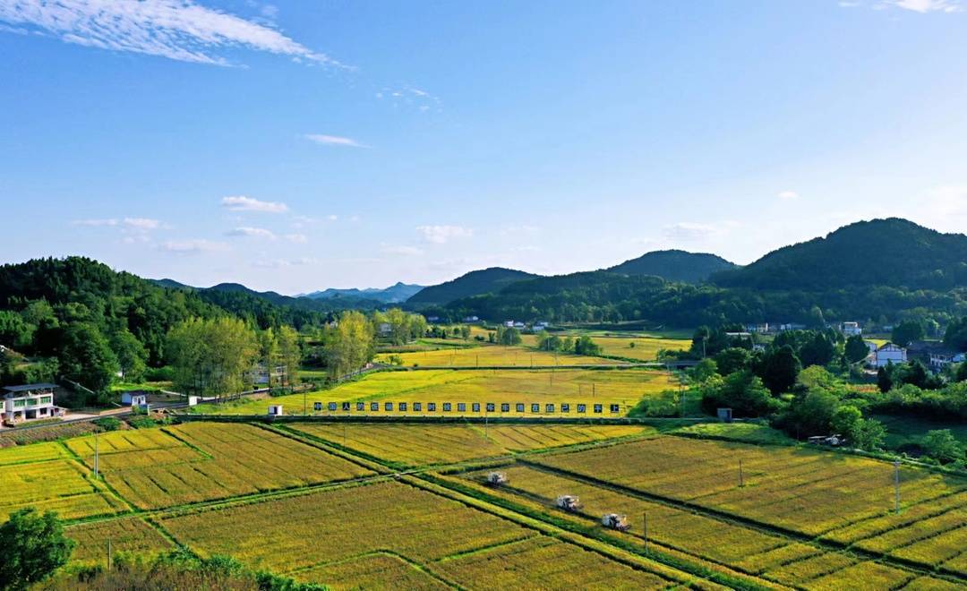 一水两用一田多收四川西充打造鱼米之乡