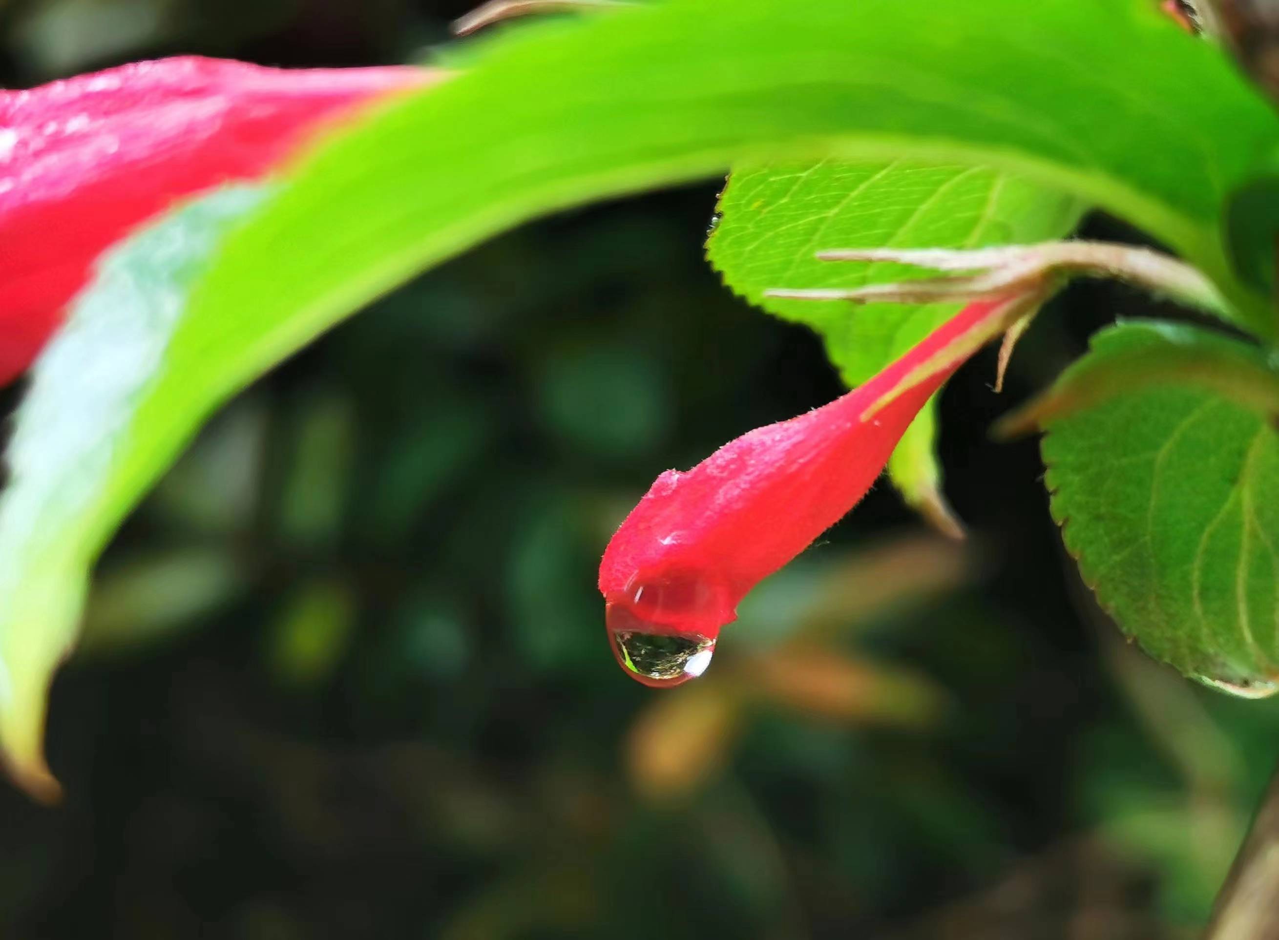 雨后的济南清晨