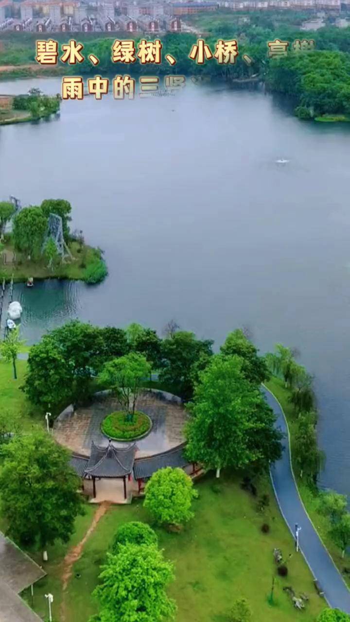 碧水绿树小桥亭榭雨中的三贤湖惹人醉浮梁县治愈系风景雨后的风景