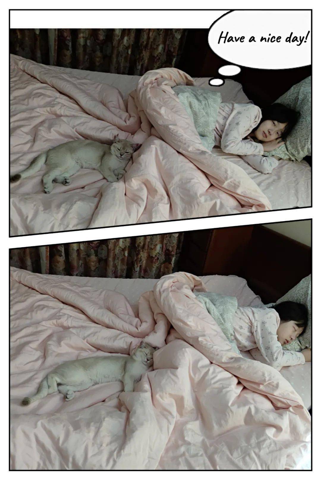 《寂静的春天》| 小赵 摄《初夏》| 陈若霖angela