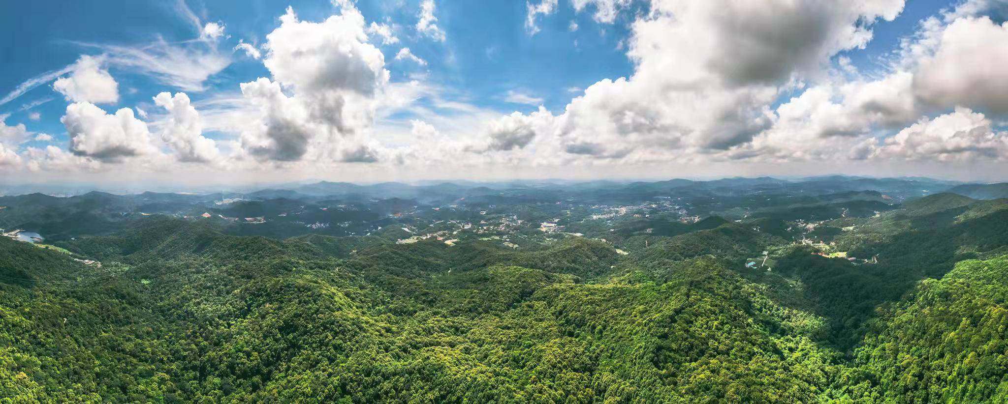 林场林地分布在广州市天河区,白云区和黄埔区,涵盖帽峰山,火炉山,凤凰
