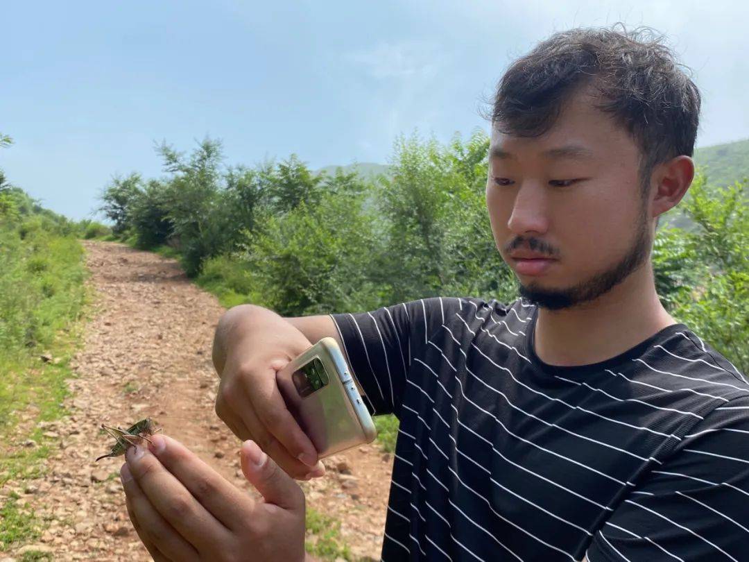 青春的赛道狐主任张辰亮带火中国博物热