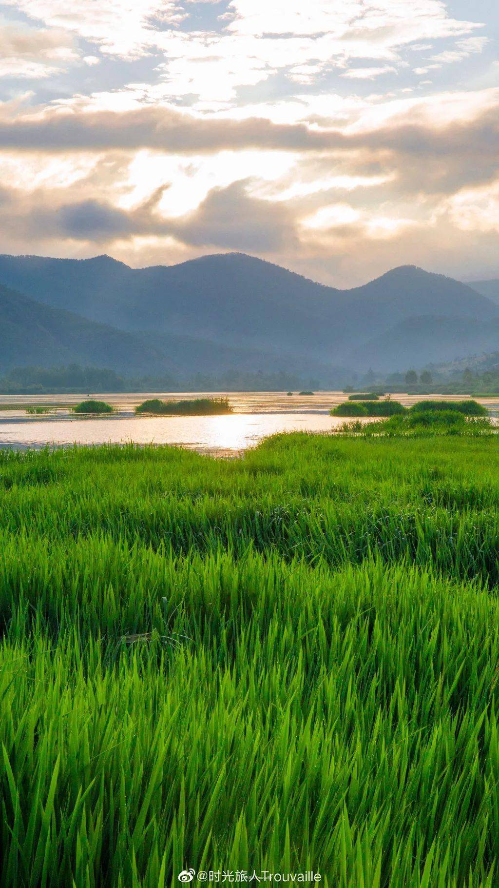 流转的四季,带给泸沽湖草海的无限风光!_金色_微博_李锋