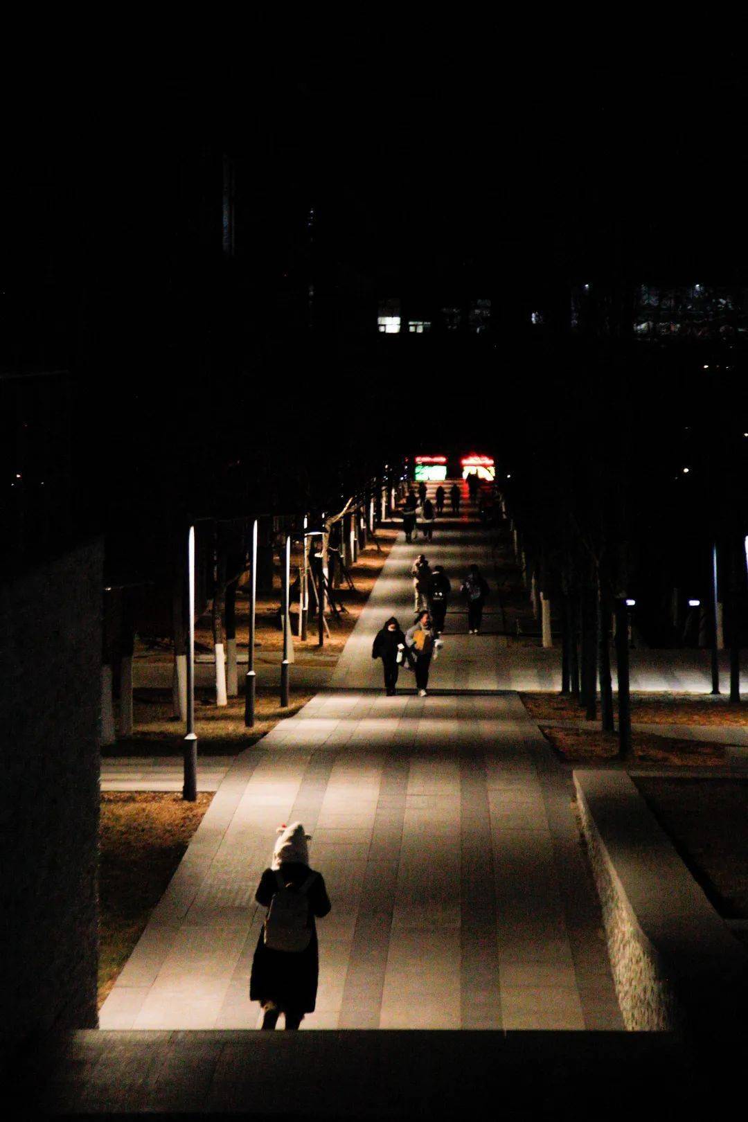 马路图片 夜景 背影图片