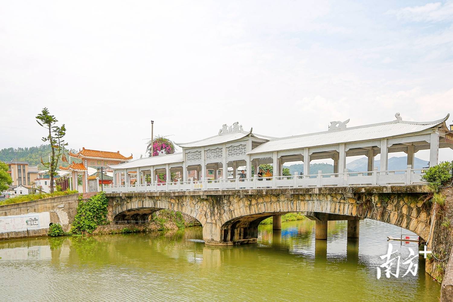 大埔县旅游景点图片