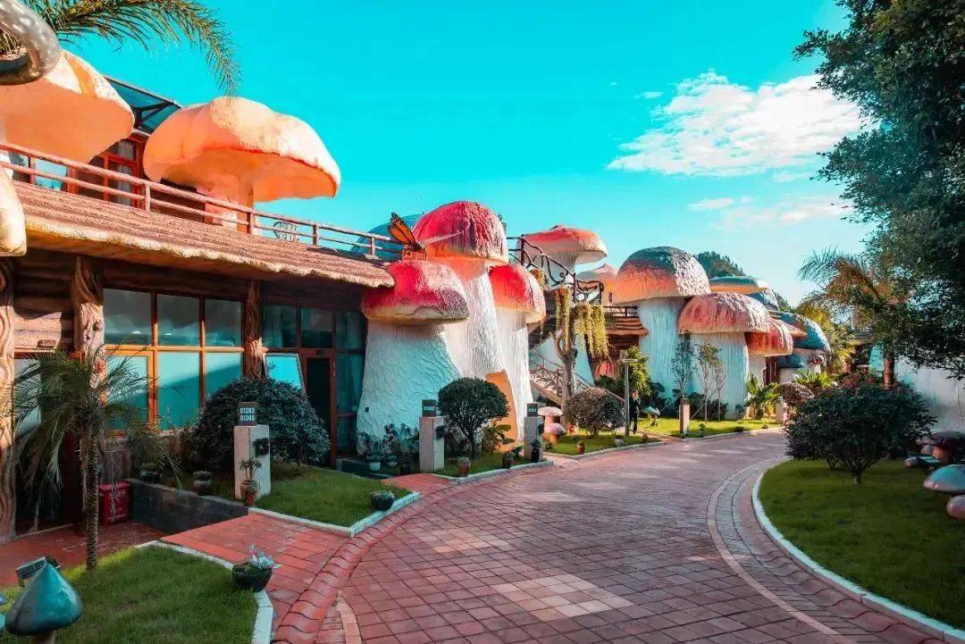 梦想,能够照进现实吗?在兴义的贵州醇景区,蘑菇野奢酒店做到了.