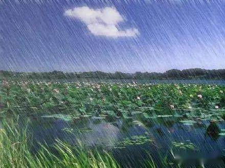 诗歌初夏的雨