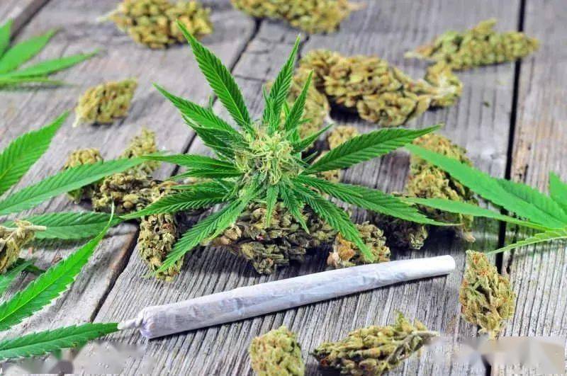 但传播此类图案有社会危害性在衣服上印有毒品标识违法虽国内无明确