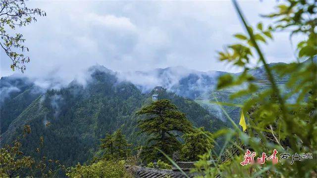 绘就田园美景　兰州市榆中县奏响文旅发展强音