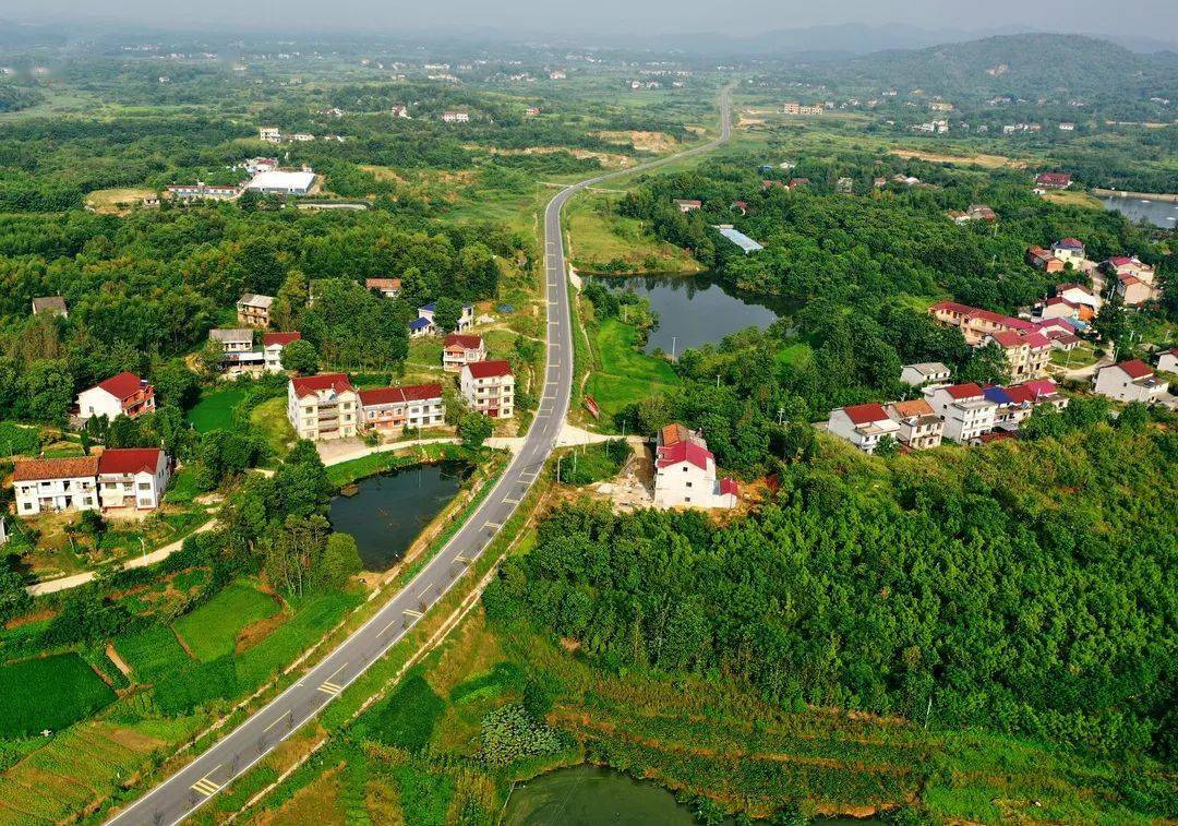 黄冈这条路由25公里缩短至8公里,惠及这个镇5万群众_彭思镇_公路_彭余