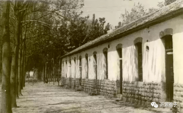 在多伦多的沂源"山岗子",解密70年前的沂源一中!