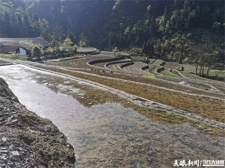 高质量发展蹲点采访正安县中观镇旱改水补齐农田稀缺短板