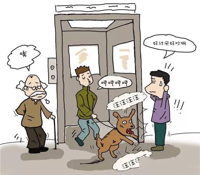 所有人这则文明养犬的通知请你收好