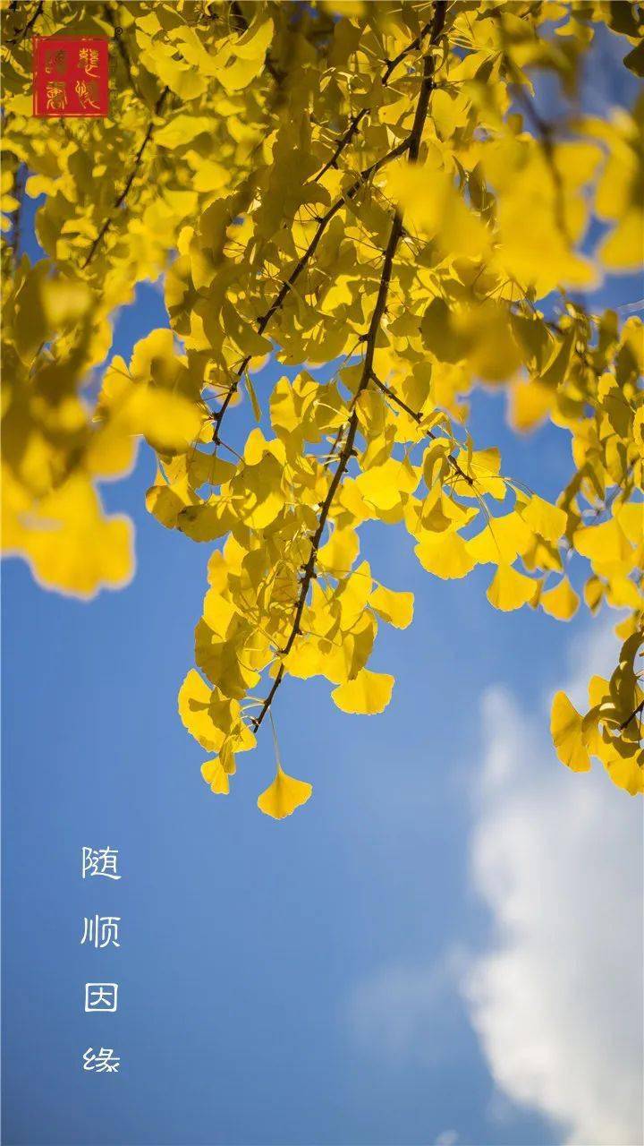 的心会比较放松,我们会比较宽容,随着因缘走,我们的心就会舒坦开阔