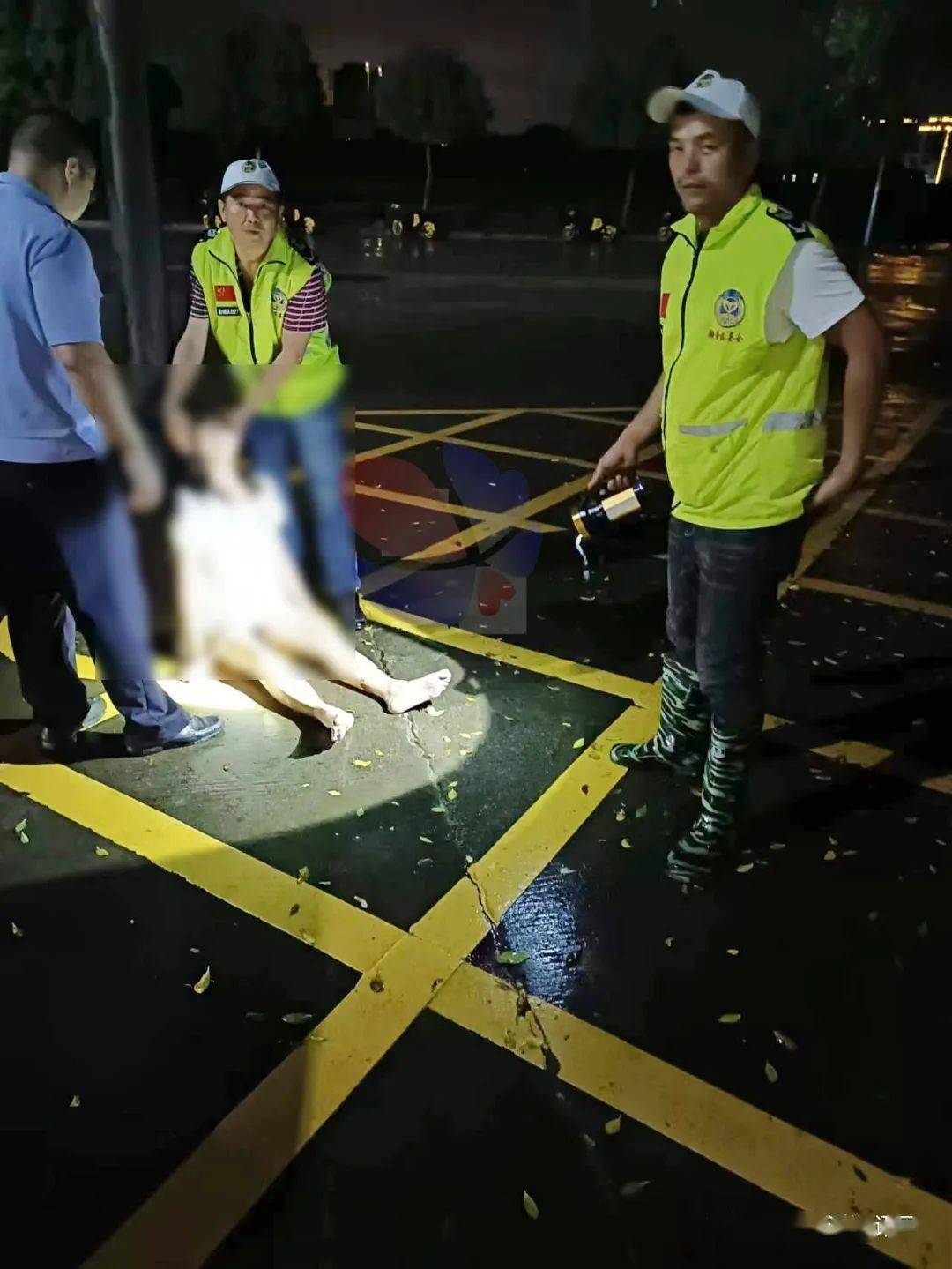 昨晚,走失在金浦的这名女子被他们及时救助_潮普_潮阳_花丛