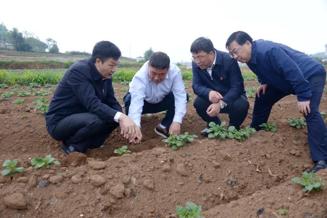 省应急厅副厅长陈樑,省乡村振兴局副局长陈波,省水投集团董事长张文伟