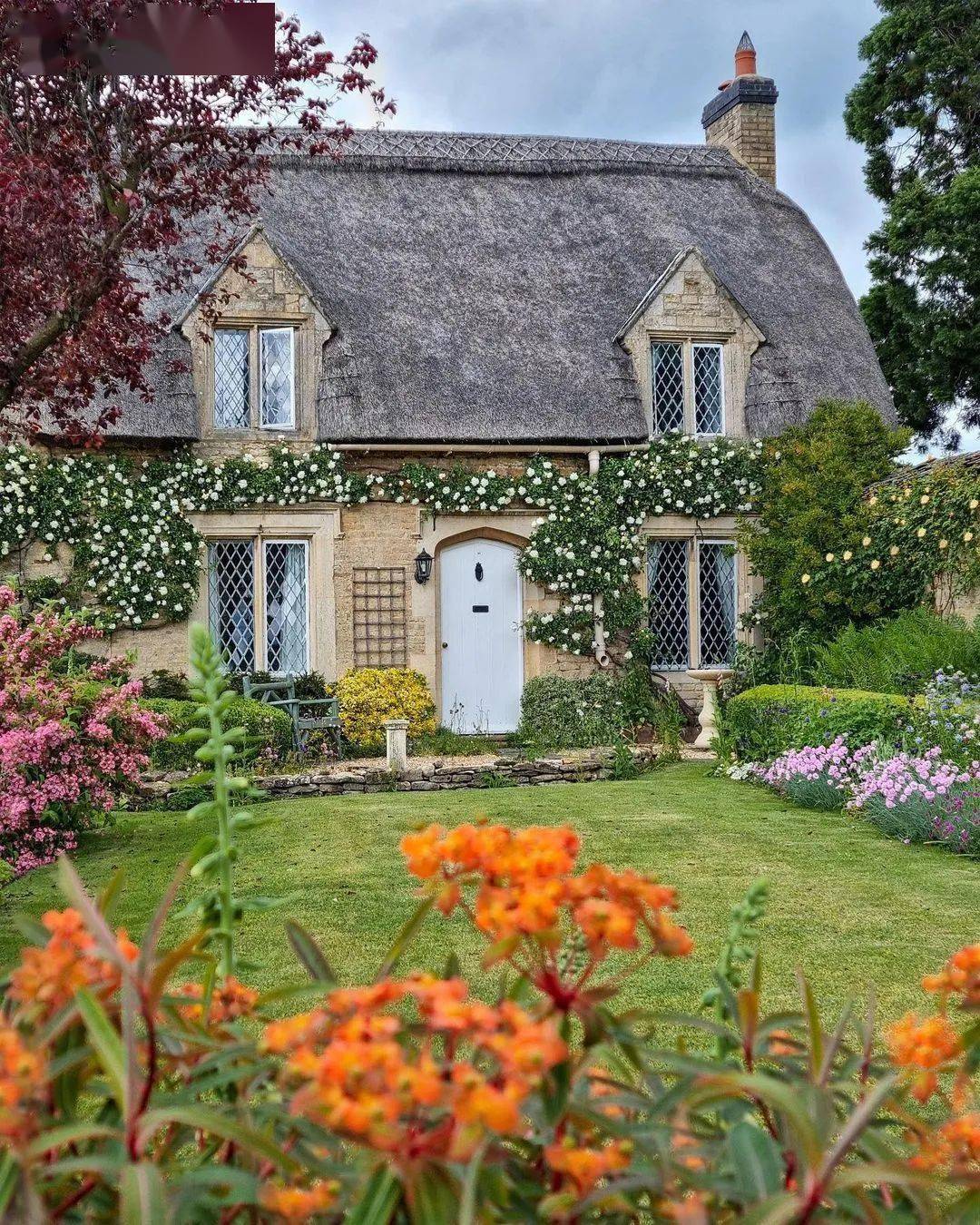 童話世界花園小屋