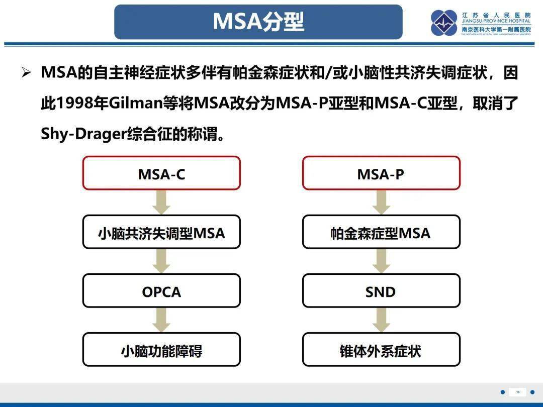 橄榄体解剖图片