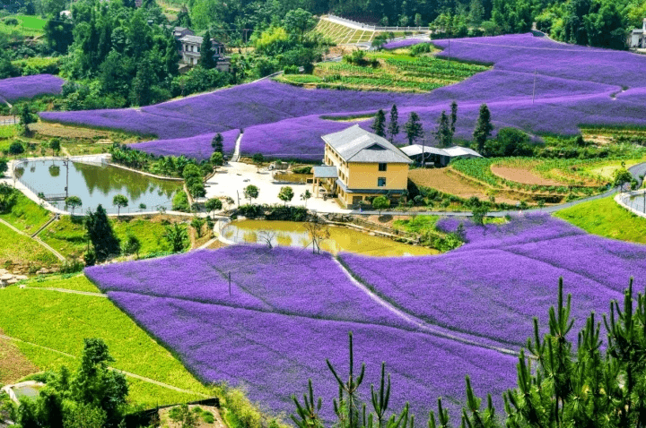 乡村四时好风光 | 万州、开州乡村旅游度假之旅