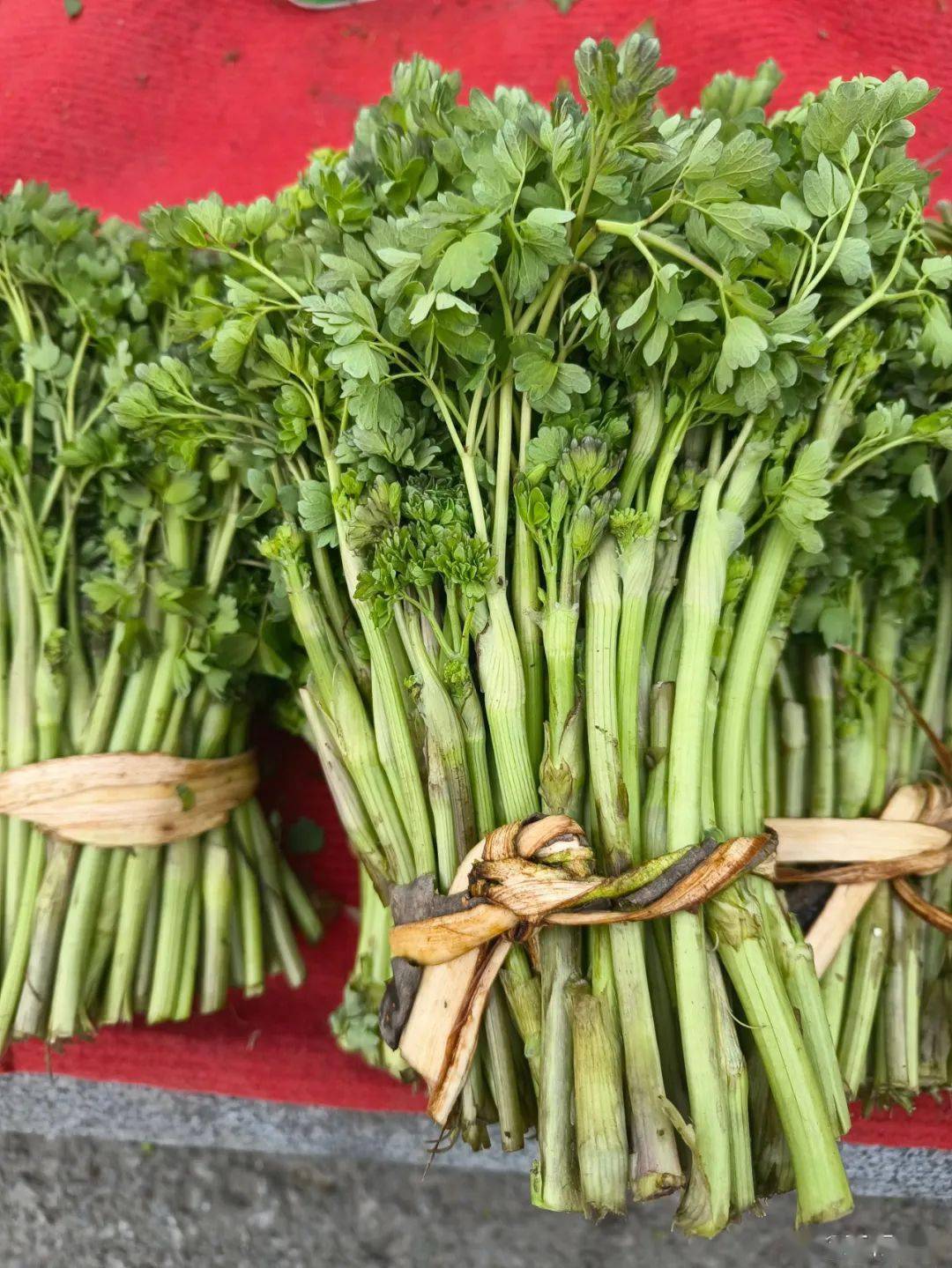 吉林菜市场山野菜一览