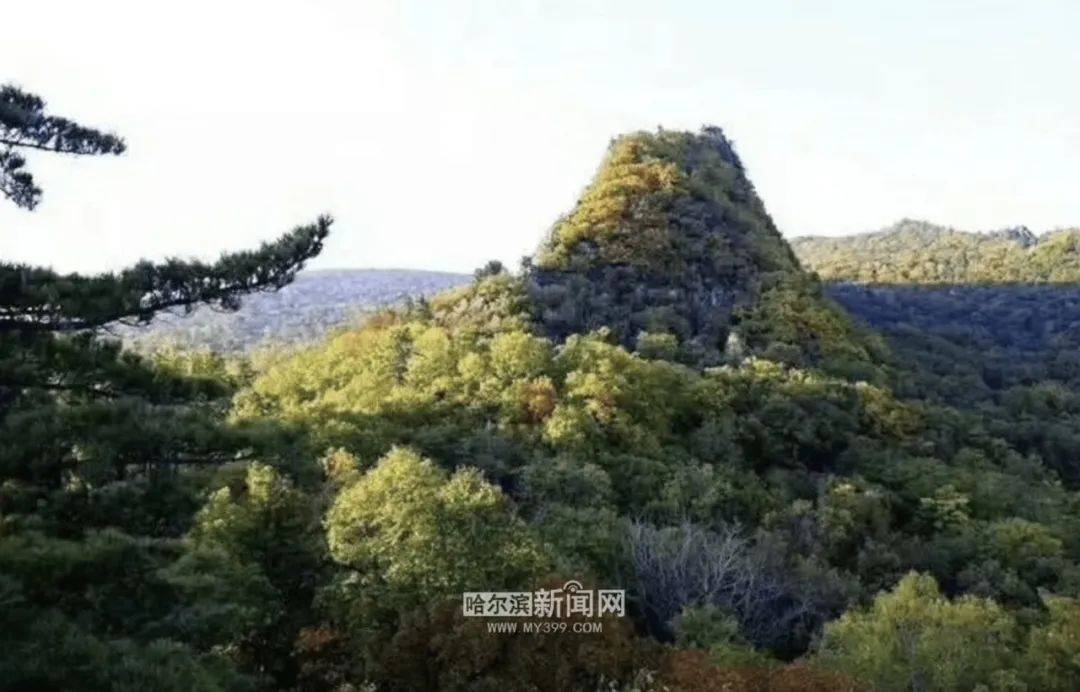 鸡冠山景区开园啦｜美丽的兴安杜鹃最后花期别错过