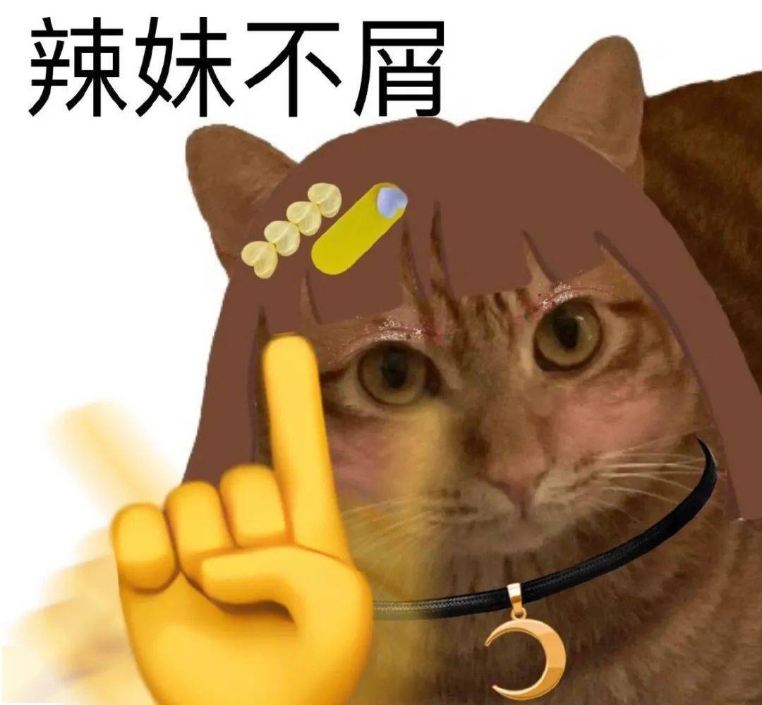 你可以尽情难过一会儿,但你得明白,情绪发泄完你还得整装待发