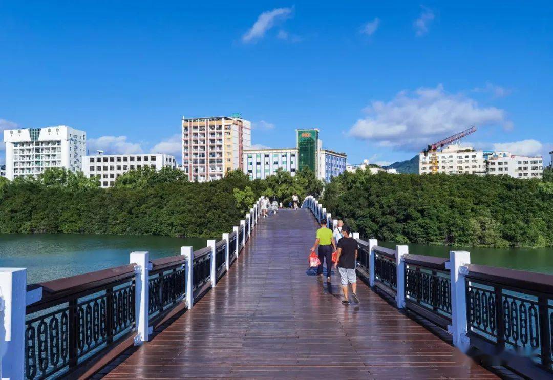 海南行41三亚白鹭公园随拍