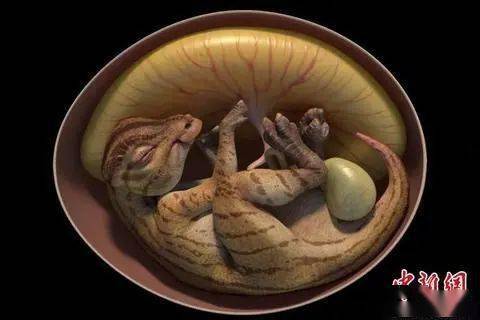 【游戏】中国发现迄今为止科学记录最完整鸭嘴龙胚胎化石