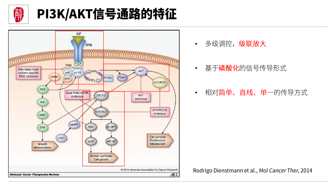 有救啦mapkpi3knfbk12大信号通路配图详解