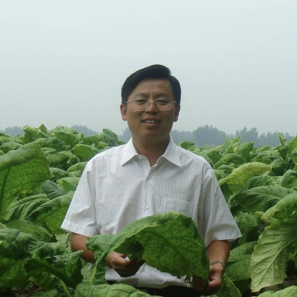 百廿农大61烟草记忆赵铭钦历史不会忘记烟草学科从0