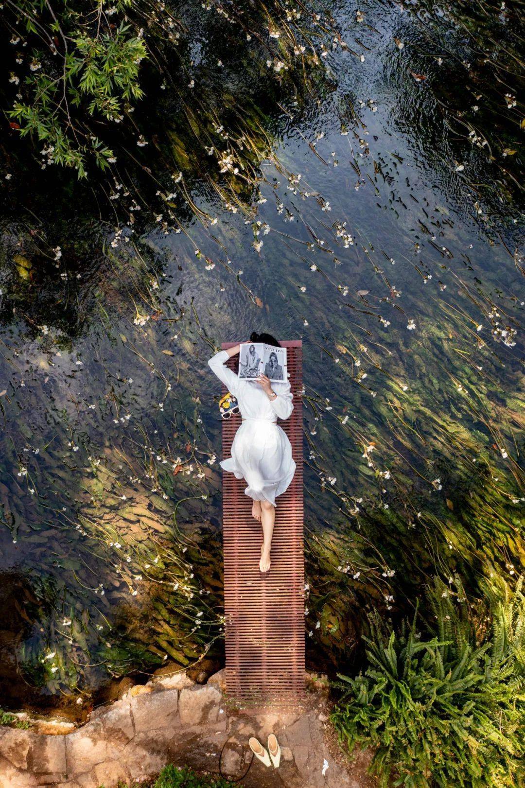 静态摄影大赛参赛作品_永诺_mm_主机