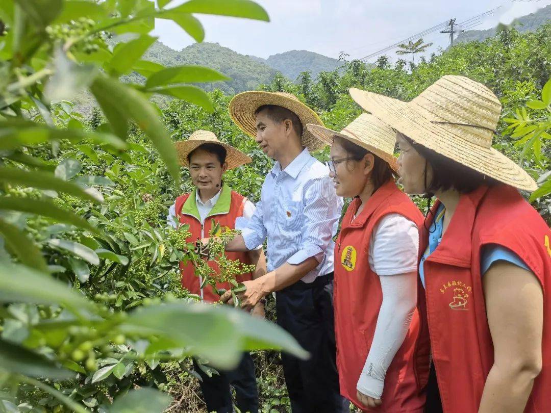 东兰县大同乡头雁队伍领航新征程