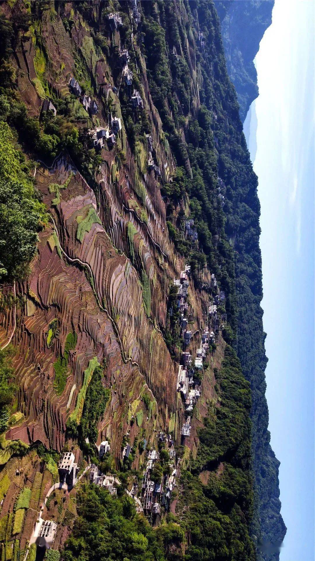 这仙境般的梯田,昭通也有!_落雁乡_步一_溪洛渡镇